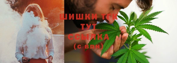 ГАЛЛЮЦИНОГЕННЫЕ ГРИБЫ Нягань