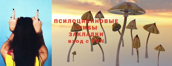 мяу мяу мука Няндома