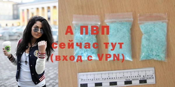 спиды Осинники